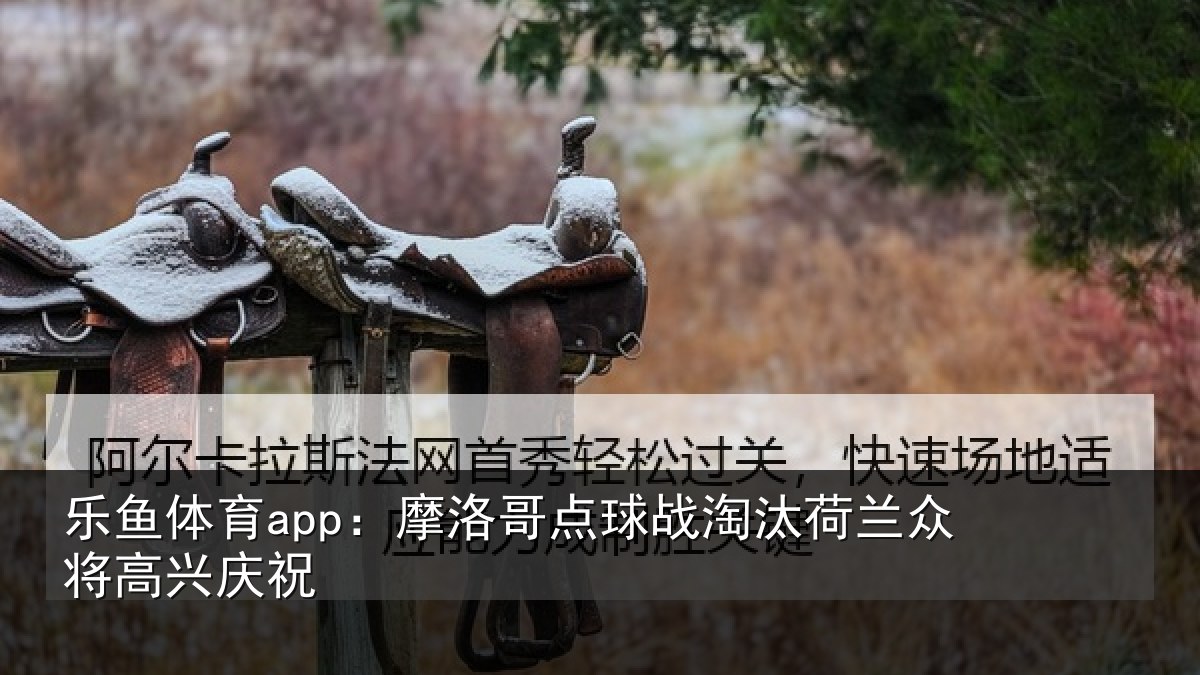 乐鱼体育app:摩洛哥点球战淘汰荷兰众将高兴庆祝