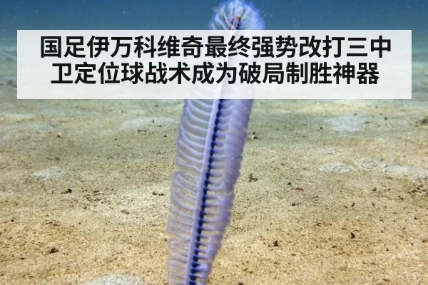 国足伊万科维奇最终强势改打三中卫定位球战术成为破局制胜神器